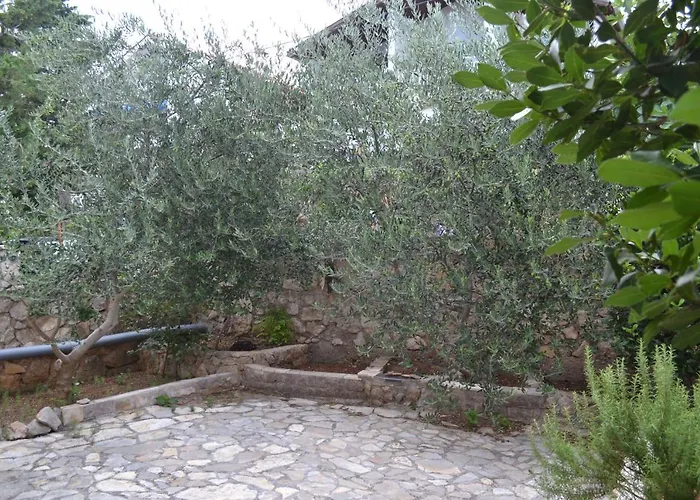 Apartament 3 Masline